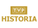 program TVP Historia